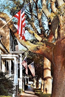Small Town Street Flags