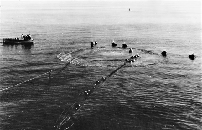 USS Squalus, Salvage Operations, 1939