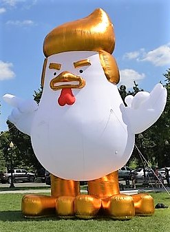 Trump Chicken EDIT