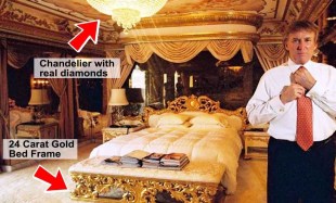 Trump gold bed