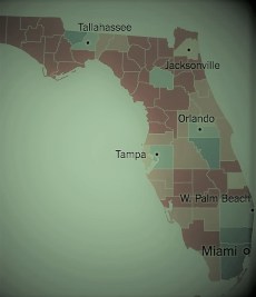Florida Voting