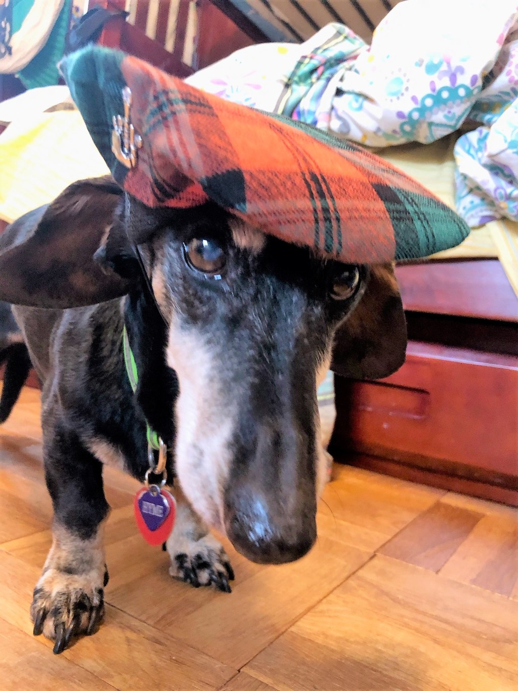 The Legacy of Hyme&nbsp;Kerr